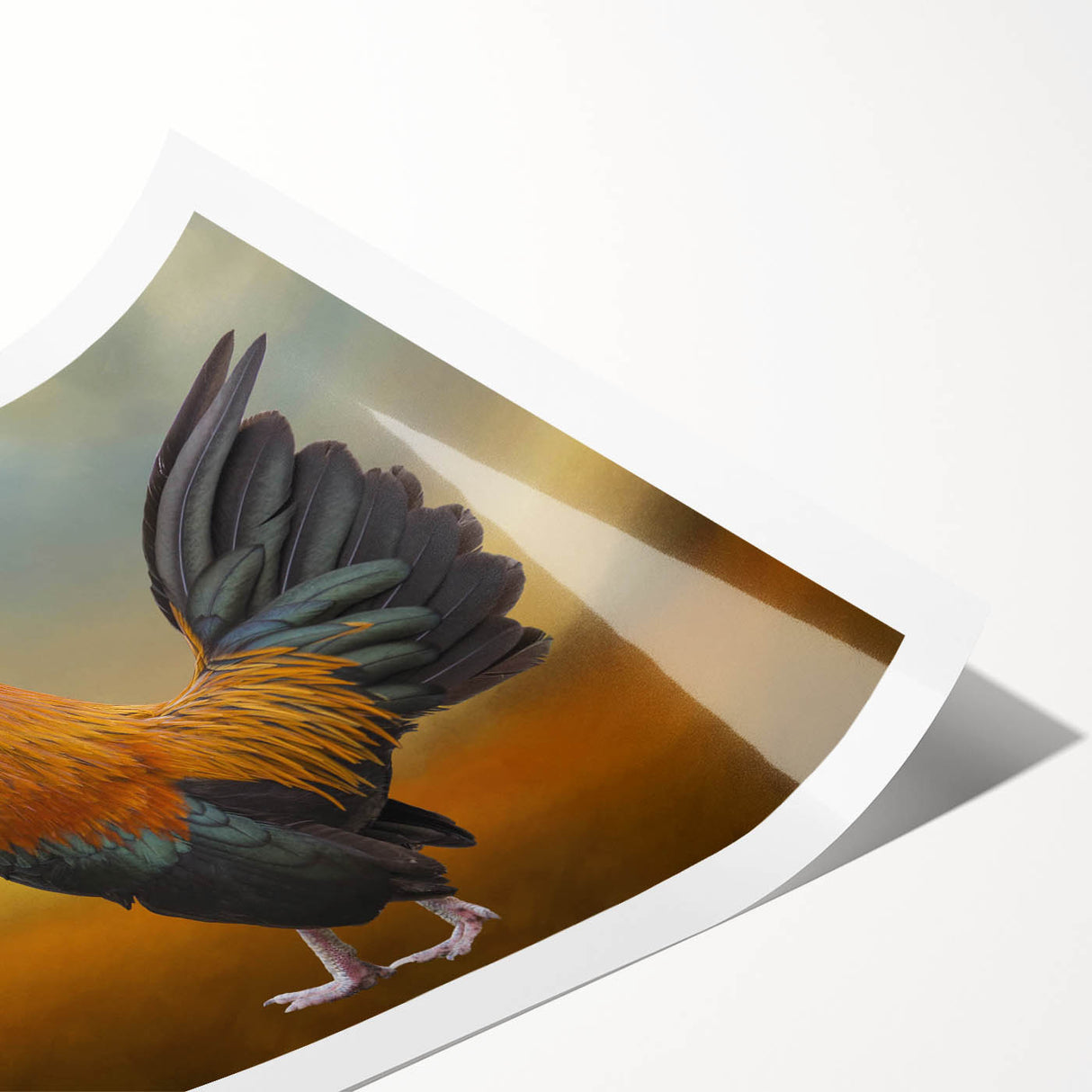 Rolled print showcasing a vibrant chicken-themed wall art design, featuring intricate details and bright colors, ideal for enhancing home decor.