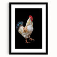 Black framed wall art showcasing a whimsical chicken design, perfect for adding a playful touch to home decor. Features a clean mat finish and modern aesthetics.