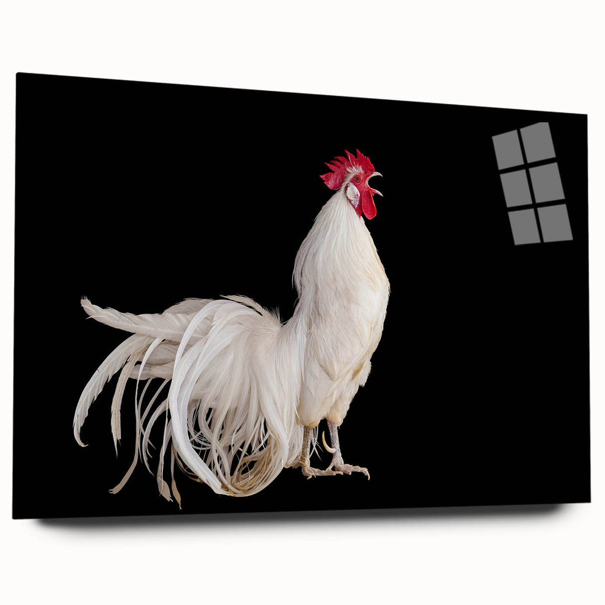 Charming wall art featuring a vibrant chicken design printed on acrylic glass, showcasing a side view without pins. Ideal for adding a whimsical touch to home decor.