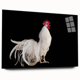 Charming wall art featuring a vibrant chicken design printed on acrylic glass, showcasing a side view without pins. Ideal for adding a whimsical touch to home decor.
