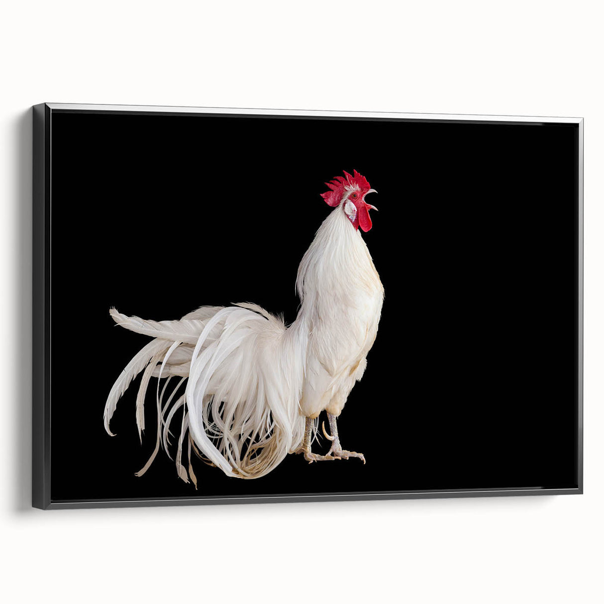 Framed wall art featuring a colorful chicken design on canvas, showcasing vibrant hues against a black background, ideal for modern home decor.