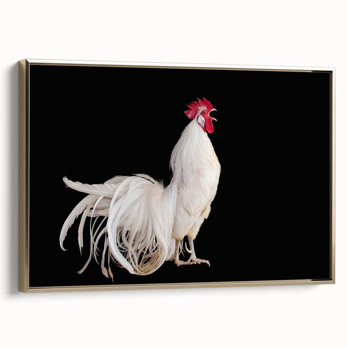 Framed canvas wall art showcasing a whimsical chicken design with vibrant colors, set against a gold frame, ideal for adding character to home decor.