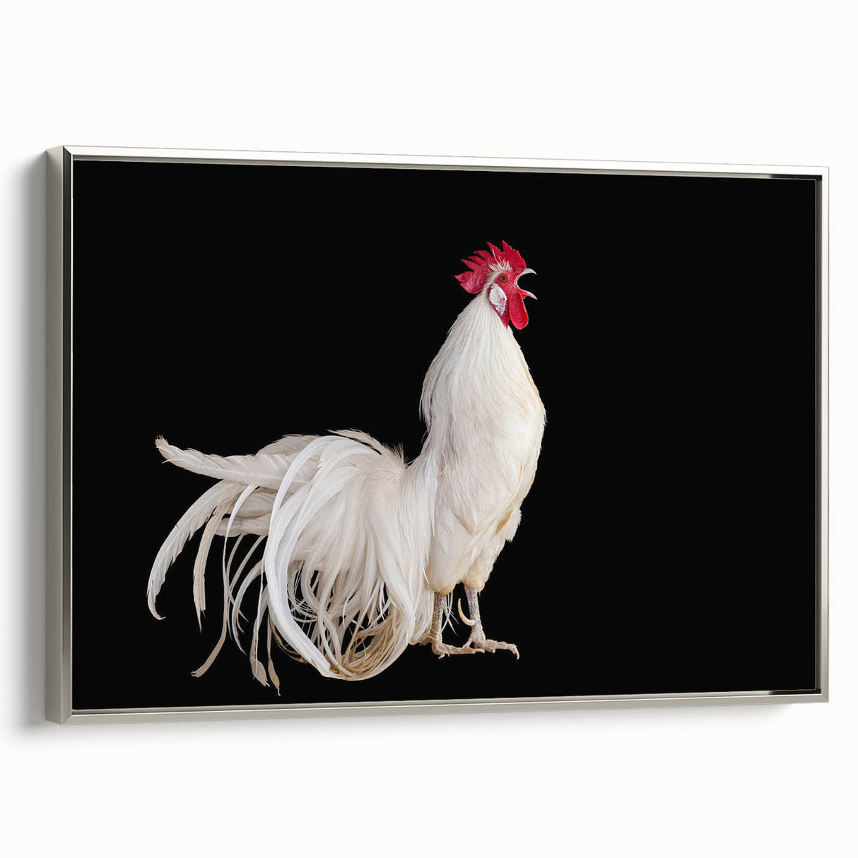 Framed wall art featuring a unique chicken design on canvas with a silver frame, showcasing vibrant colors and intricate details, perfect for home decor.