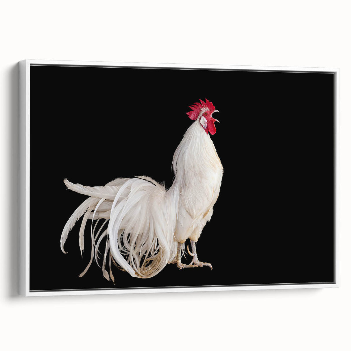 Framed canvas wall art featuring a whimsical chicken design in vibrant colors, displayed in a stylish white frame, ideal for home decor or kitchen enhancement.