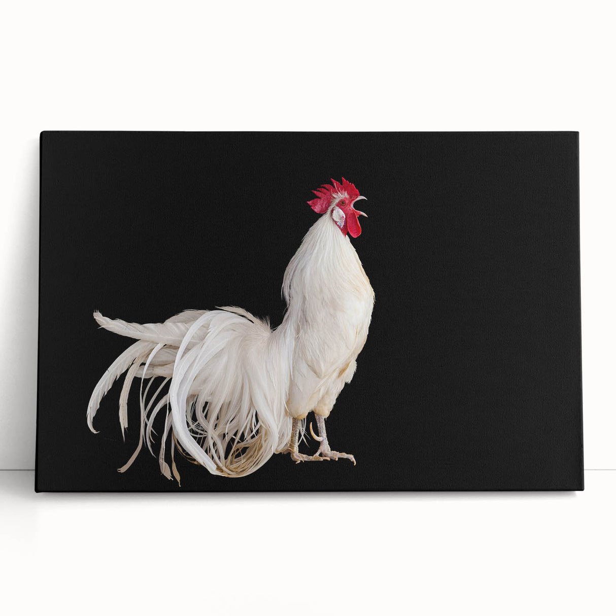 Colorful stretched canvas wall art featuring whimsical chicken designs, perfect for adding a playful touch to home decor. Ideal for kitchens or dining areas.