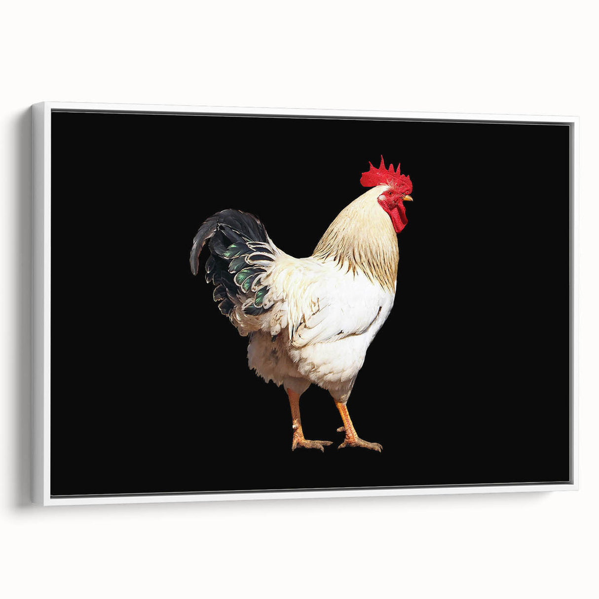 Framed wall art featuring a vibrant chicken design against a white background, showcasing intricate details and colors, perfect for farmhouse decor or kitchen art.