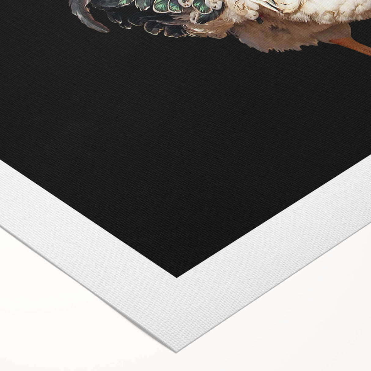 Rolled canvas artwork showcasing a vibrant chicken design with intricate details, perfect for enhancing home decor. Packaged securely in a cardboard tube.