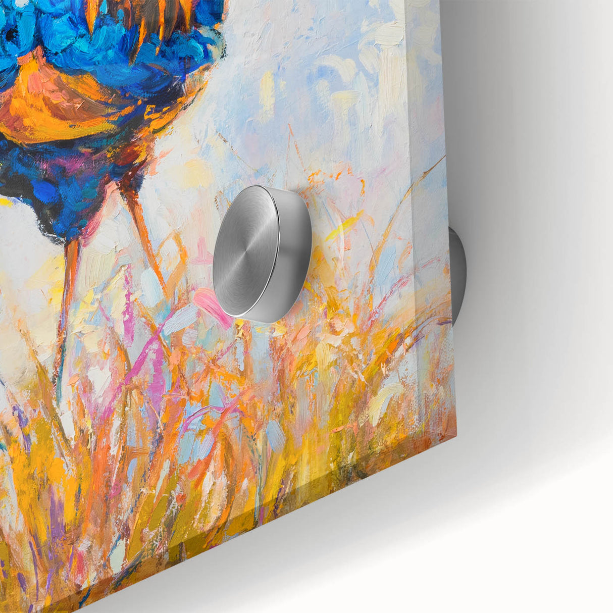 Close-up of a vibrant acrylic glass wall art collection featuring colorful birds and chickens, showcasing intricate details and textures, ideal for home decor.
