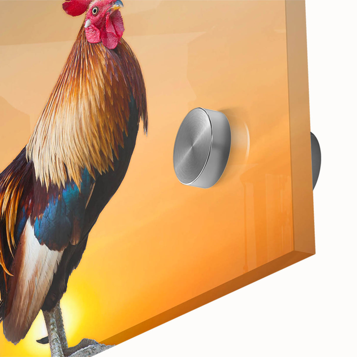 Close-up of a vibrant acrylic wall art piece featuring a colorful chicken design, showcasing intricate details and textures, perfect for home decor enthusiasts.
