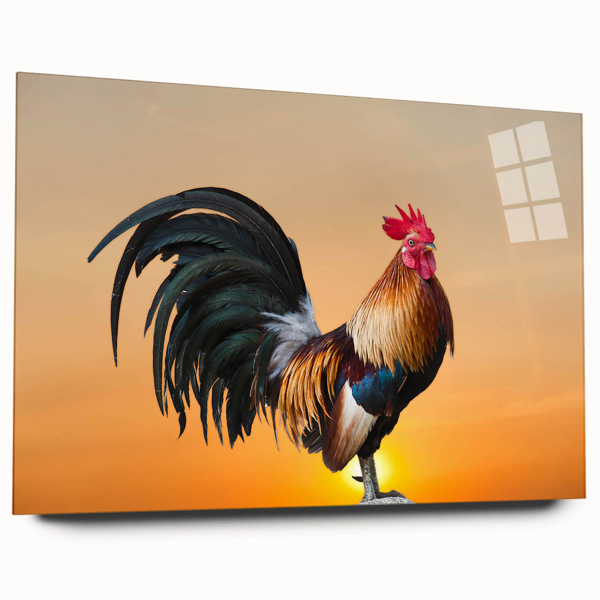 Vibrant acrylic glass wall art collection featuring a whimsical chicken design, displayed from a side view, showcasing colorful details and a sleek finish.
