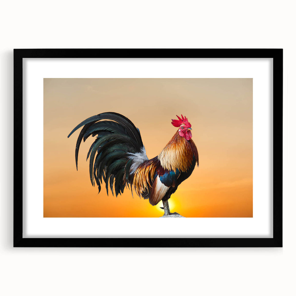 Framed wall art featuring a chicken design in a black frame with a mat, showcasing vibrant colors and intricate details, perfect for enhancing home decor.