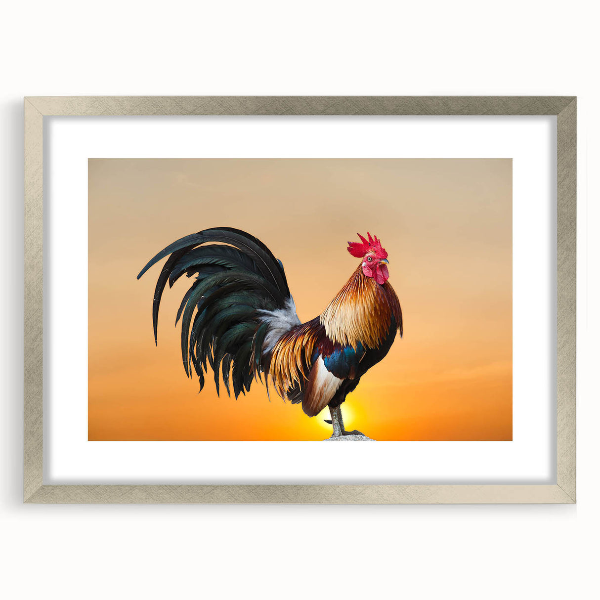 Framed wall art featuring a whimsical chicken design in vibrant colors, set in a silver frame with a mat, ideal for rustic or farmhouse decor.