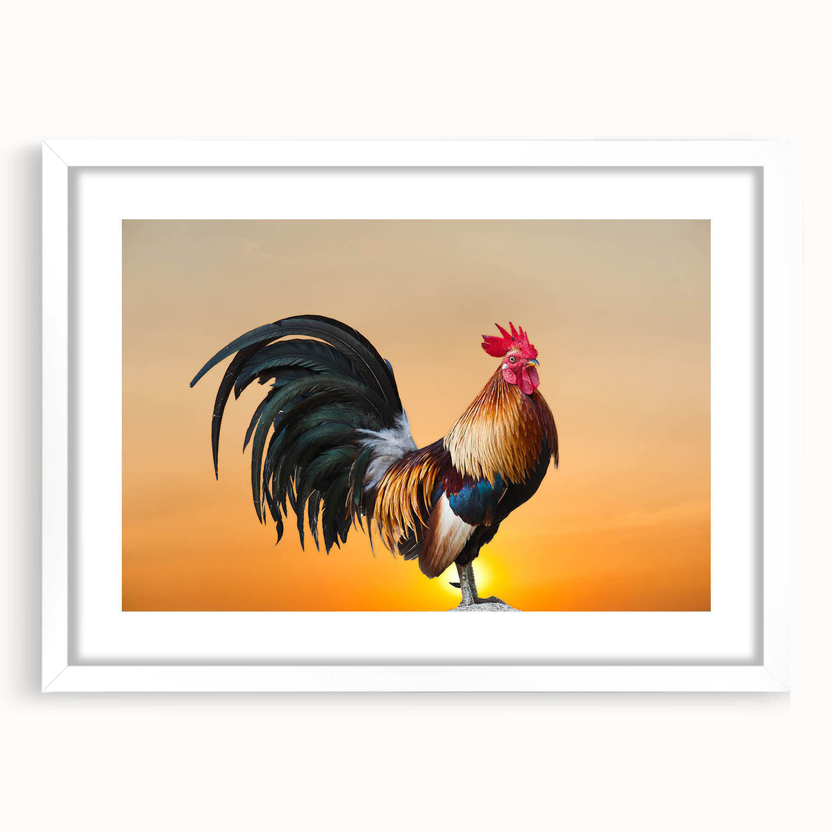 Framed wall art collection showcasing vibrant chicken-themed designs in a white mat, ideal for enhancing home decor, featuring playful colors and intricate details.