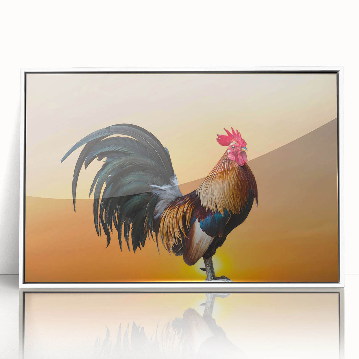 Framed acrylic wall art featuring a vibrant chicken design in a white frame, showcasing intricate details and colorful patterns, perfect for enhancing home decor.