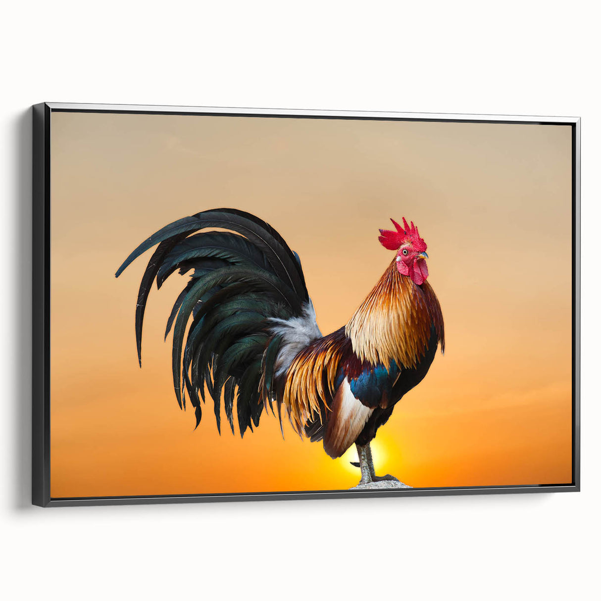 Framed wall art featuring a detailed chicken design on a textured canvas, showcasing vibrant colors against a sleek black frame, ideal for home decor enthusiasts.