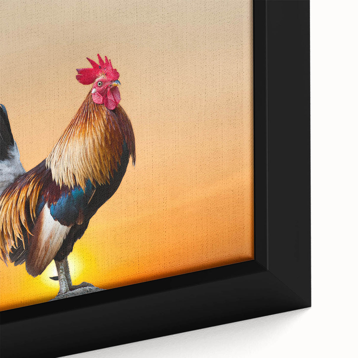 Close-up of a framed wall art piece featuring a vibrant chicken design, showcasing intricate details and colorful patterns that enhance home decor with a playful touch.