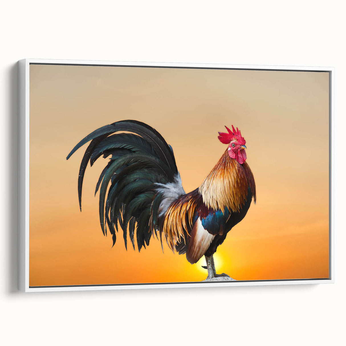 Framed canvas wall art featuring a colorful chicken design, set against a white background. Perfect for adding a whimsical touch to home decor in kitchens or dining areas.