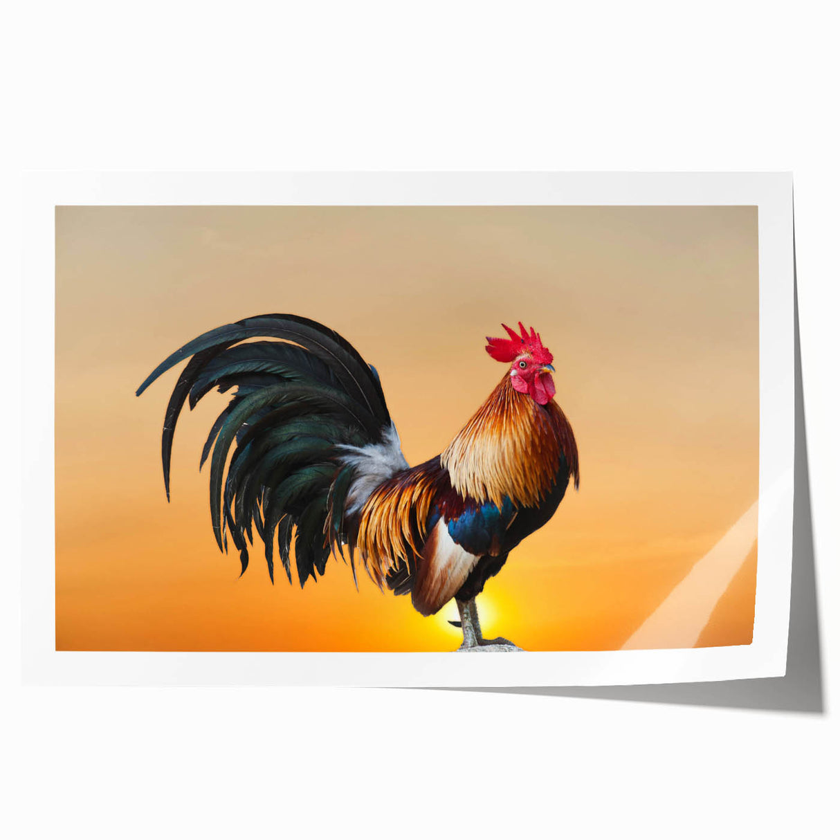 Colorful wall art print featuring an intricate chicken design, showcasing vibrant hues and detailed patterns, ideal for enhancing home decor. Perfect for animal lovers and art enthusiasts looking to add a unique touch to their space.