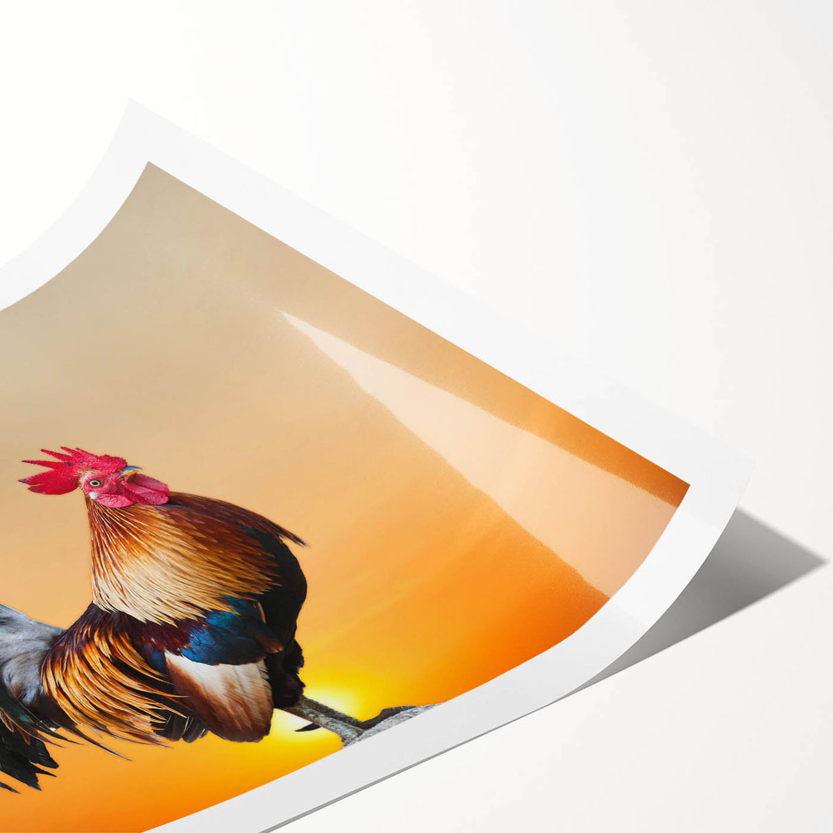 Colorful wall art print featuring a whimsical chicken design on a light background, perfect for adding a playful touch to home decor. The rolled print is ideal for framing and enhances any space with its vibrant colors and charming illustration style.