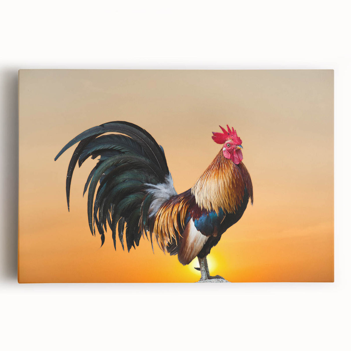 Colorful stretched canvas wall art featuring a whimsical chicken design set against a vibrant background, perfect for adding a playful touch to home decor.