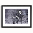 Framed wall art featuring a striking crane design in black and white, with a sleek black frame and mat, ideal for modern decor. Perfect for adding elegance to any space.