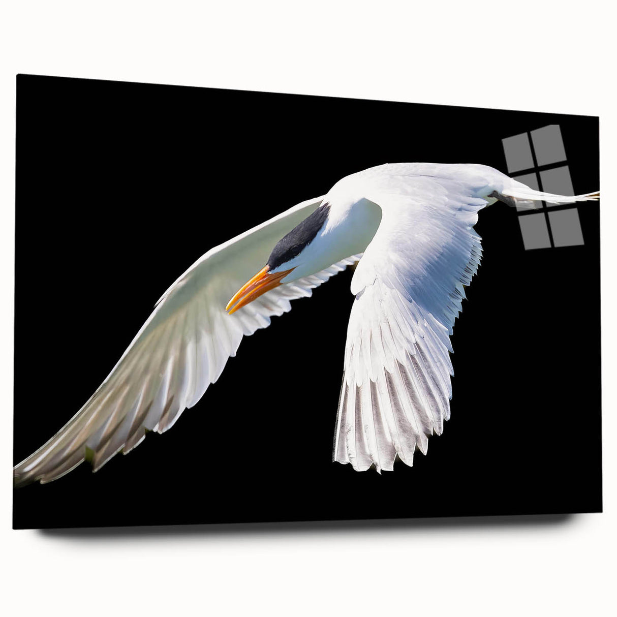 Side view of a modern crane design wall art piece featuring vibrant colors on acrylic glass, ideal for contemporary decor or bird-themed interiors.