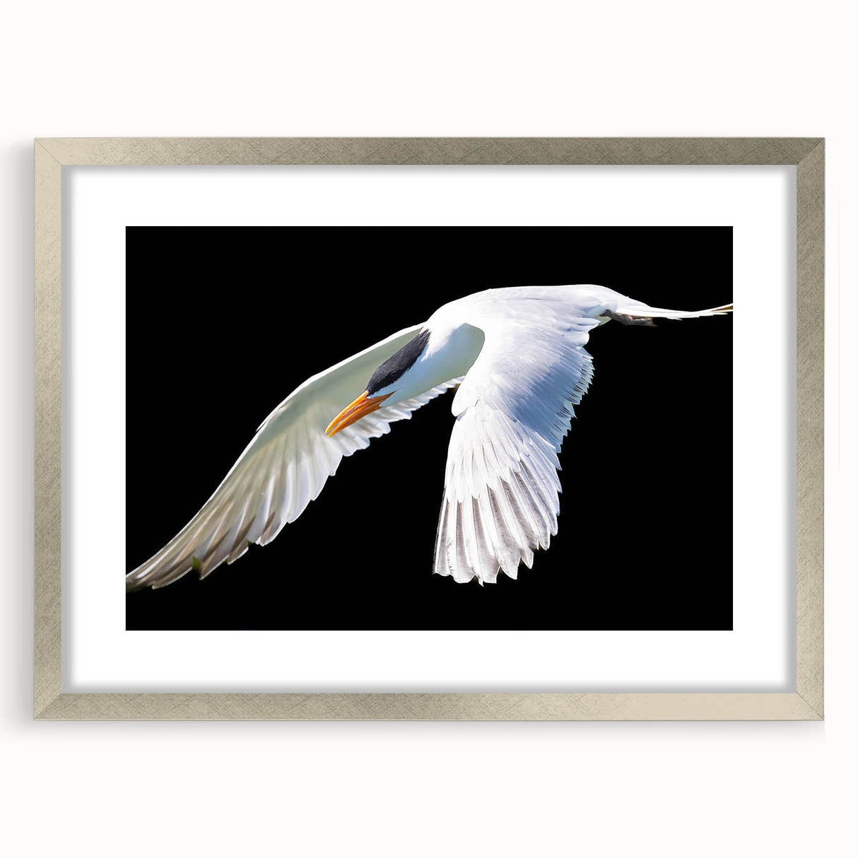 Elegant wall art featuring a crane design in a silver frame with matting, perfect for enhancing home decor aesthetics. Ideal for bird lovers and modern interiors.