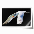 Elegant crane design wall art print showcasing intricate details in soft pastel colors, rolled and ready for display, ideal for enhancing home decor.
