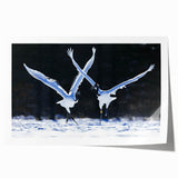 Rolled print showcasing an elegant crane design in vibrant colors, perfect for home decor, delivered in a protective cardboard tube for easy handling.