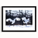 Framed black wall art featuring an elegant crane design, showcasing intricate details and vibrant colors, perfect for modern home decor. This artwork adds a touch of sophistication and nature-inspired beauty to any room.