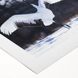 Elegant rolled canvas showcasing a stunning crane design, vibrant colors, and intricate details, perfect for enhancing home decor in a modern or eclectic space.