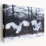 Stretched canvas wall art showcasing an elegant crane design, featuring vibrant colors and intricate details, perfect for modern home decor or art collection.