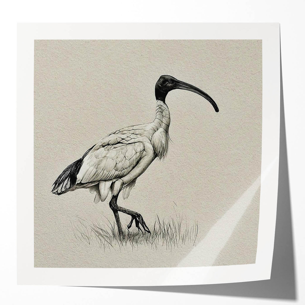 Elegant wall art print showcasing a beautiful crane design in soft pastel colors, perfect for modern home decor. Ideal for adding a serene touch to living spaces.