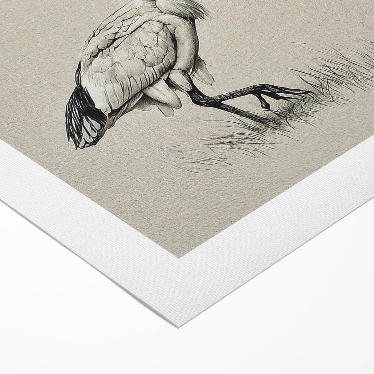 Elegant rolled canvas showcasing a stunning crane design in vibrant colors, perfect for home decor. This wall art collection adds a touch of nature's beauty to any space.