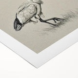 Elegant rolled canvas showcasing a stunning crane design in vibrant colors, perfect for home decor. This wall art collection adds a touch of nature's beauty to any space.