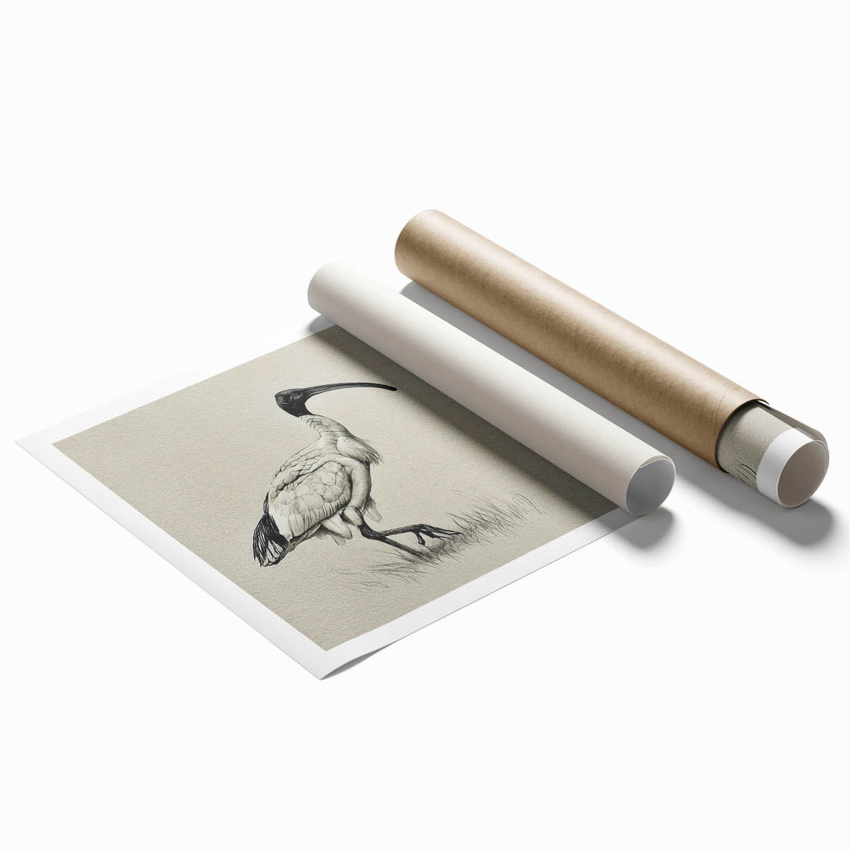 Elegant rolled print of a crane design wall art featuring delicate details and soft colors, ideal for enhancing home decor with a touch of nature-inspired elegance. Perfect for art enthusiasts seeking unique and stylish decor options.
