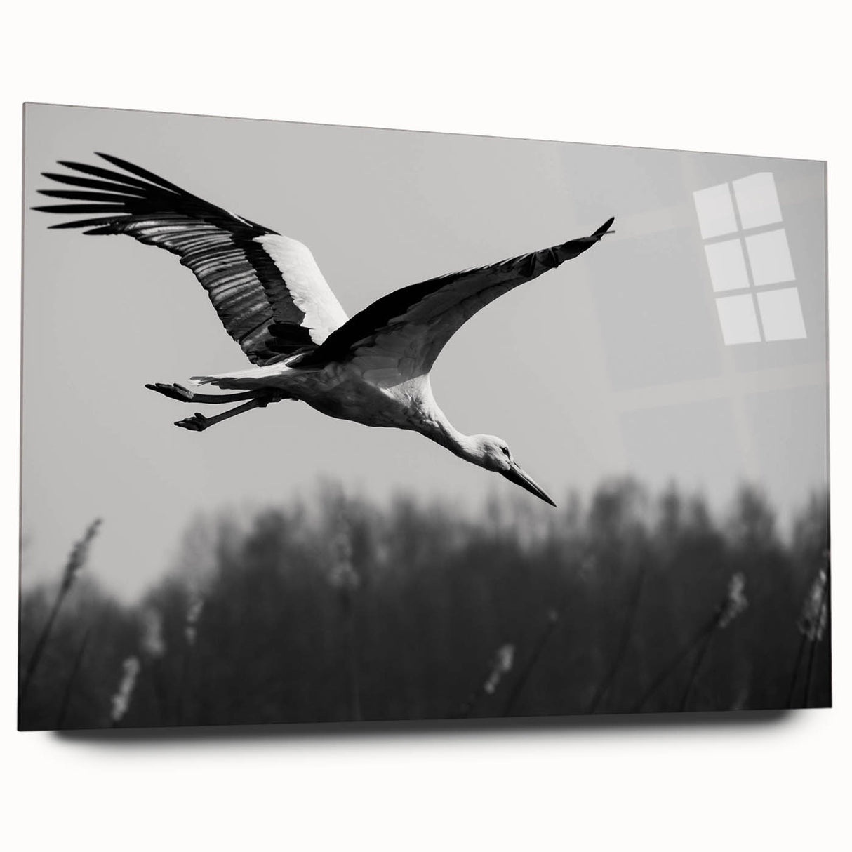 Elegant wall art featuring a crane design, displayed in an acrylic glass frame, showcasing intricate details and vibrant colors, perfect for modern home decor.