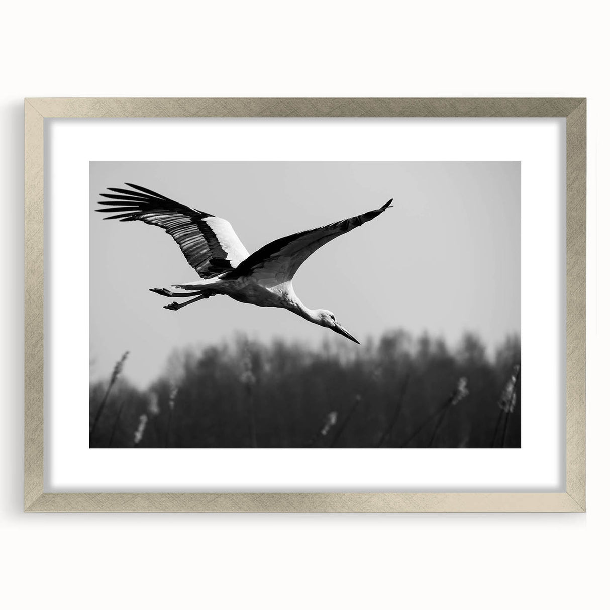 Framed wall art featuring elegant crane design in silver, showcasing intricate details and a mat finish, perfect for enhancing modern home decor.