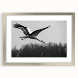 Framed wall art featuring elegant crane design in silver, showcasing intricate details and a mat finish, perfect for enhancing modern home decor.