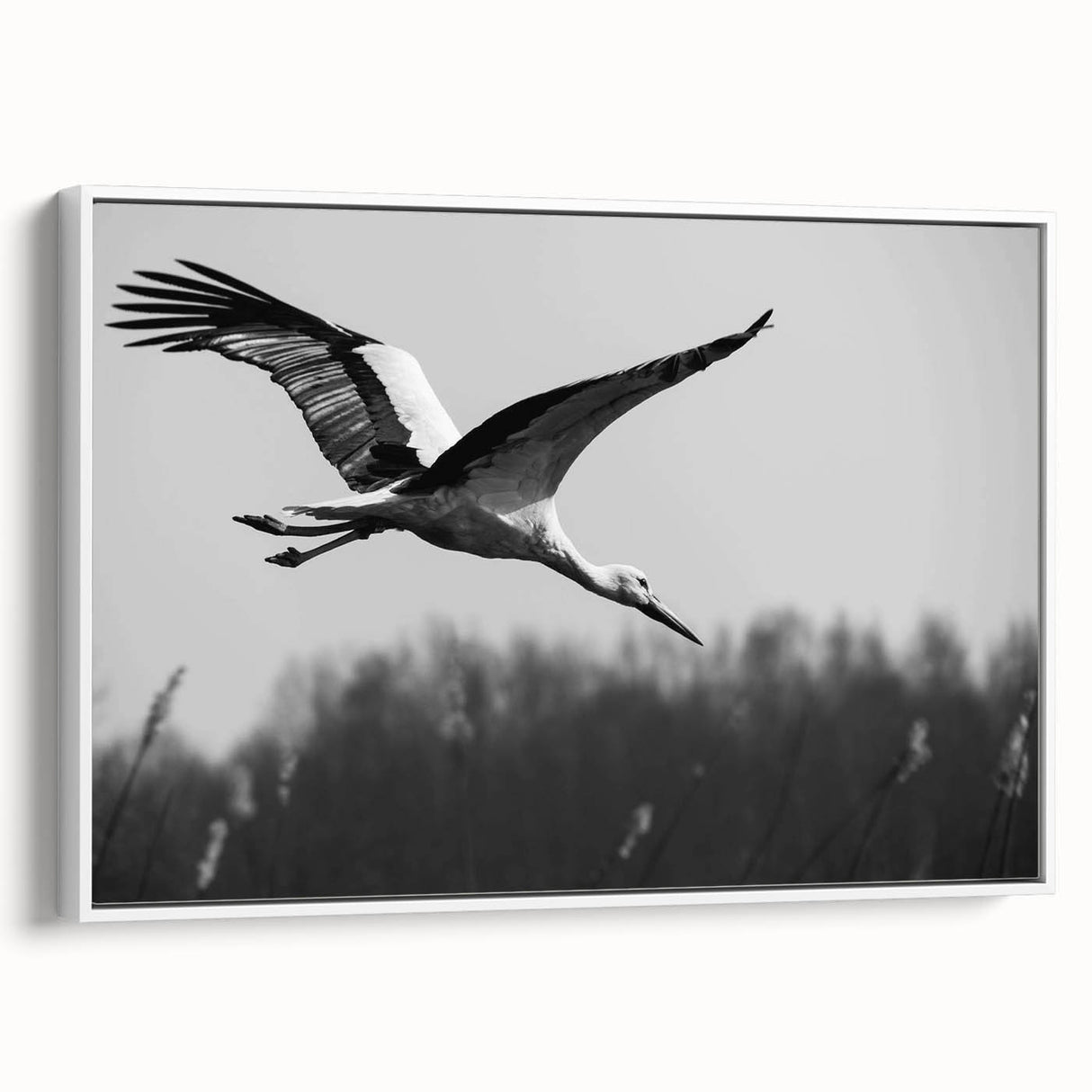 Framed canvas wall art featuring an elegant crane design in a minimalist style, showcasing a white background and premium craftsmanship, perfect for modern decor.