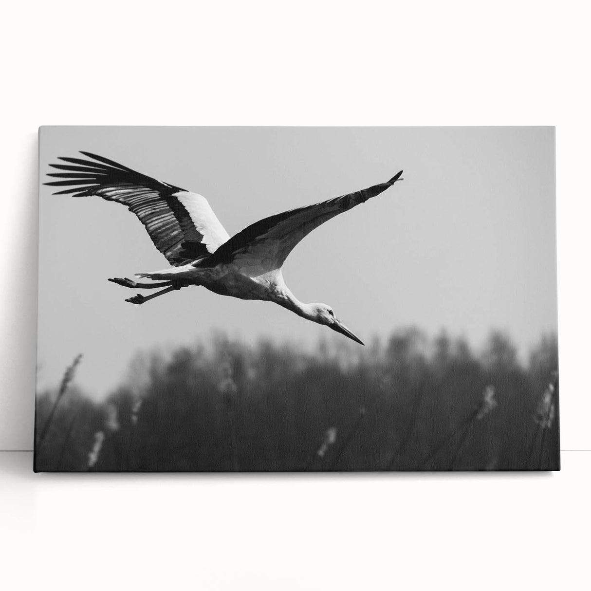 Stretched canvas wall art featuring an elegant crane design, showcasing intricate details and soft pastel colors, ideal for modern home decor.