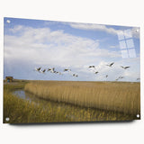 Elegant wall art display featuring a side view of a crane design printed on acrylic glass, showcasing vibrant colors and intricate details, ideal for modern decor.