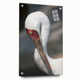 Elegant wall art featuring a crane design in vibrant colors, displayed in a sleek acrylic frame with pins, ideal for modern home decor. Perfect for art enthusiasts and bird lovers.