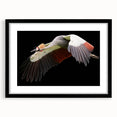 Elegant black-framed wall art featuring a serene crane design, perfect for home decor, showcasing intricate details and a modern aesthetic. Ideal for bird enthusiasts and art lovers.