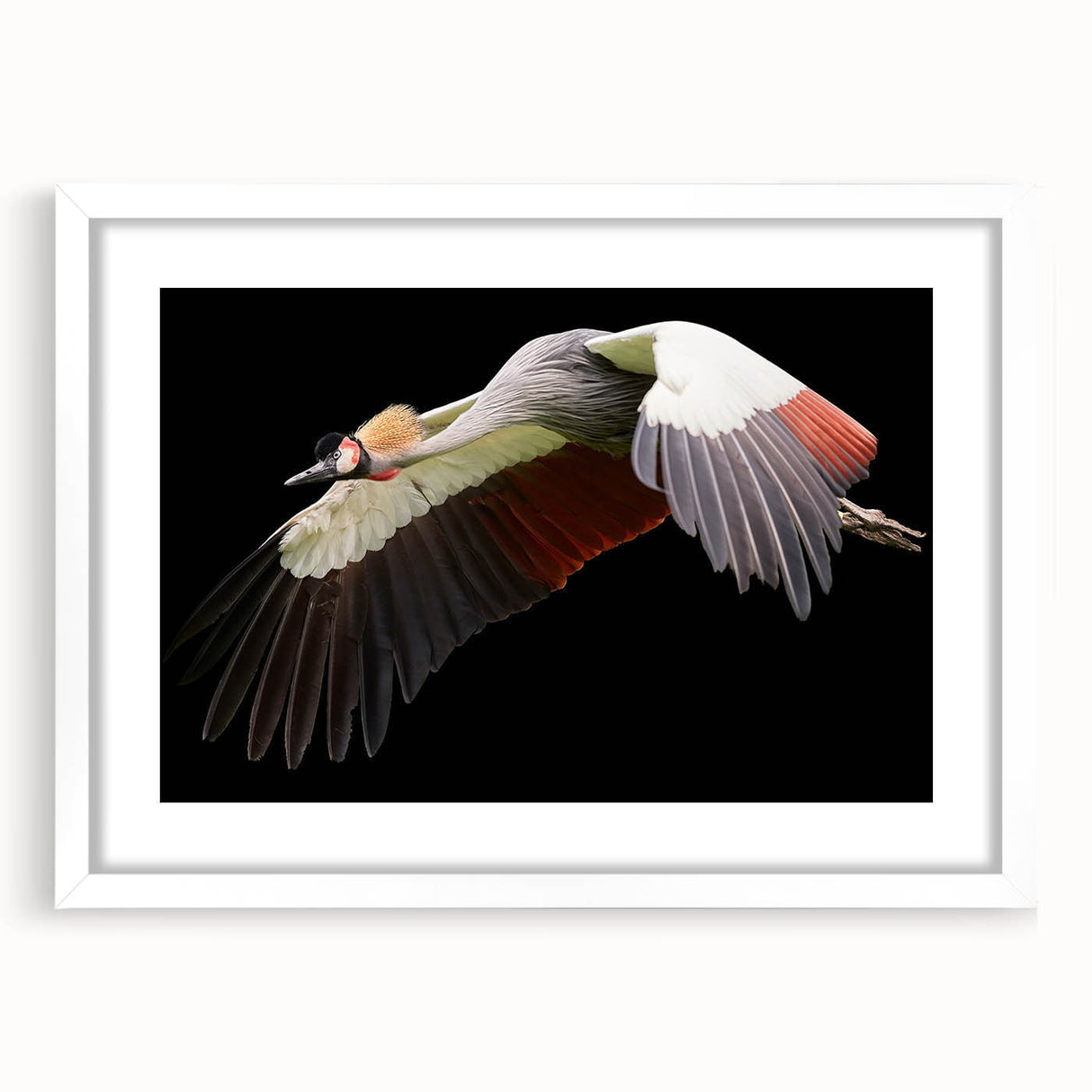 Framed wall art featuring an elegant crane design in soft pastel colors, set against a white mat and frame, ideal for modern home decor and bird lovers.