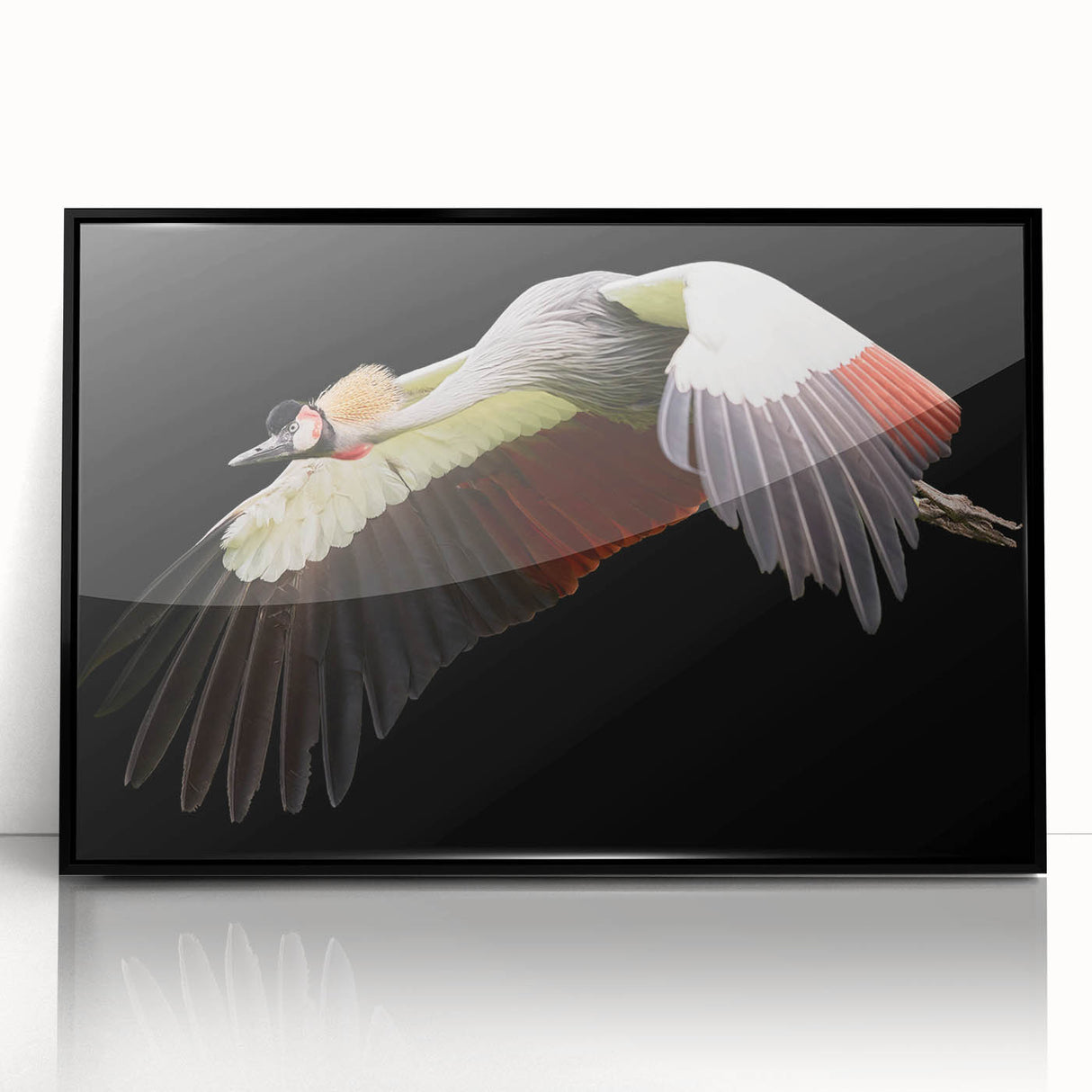 Framed wall art featuring a stunning crane design in acrylic, showcasing intricate details and a sleek black frame, perfect for modern home decor.