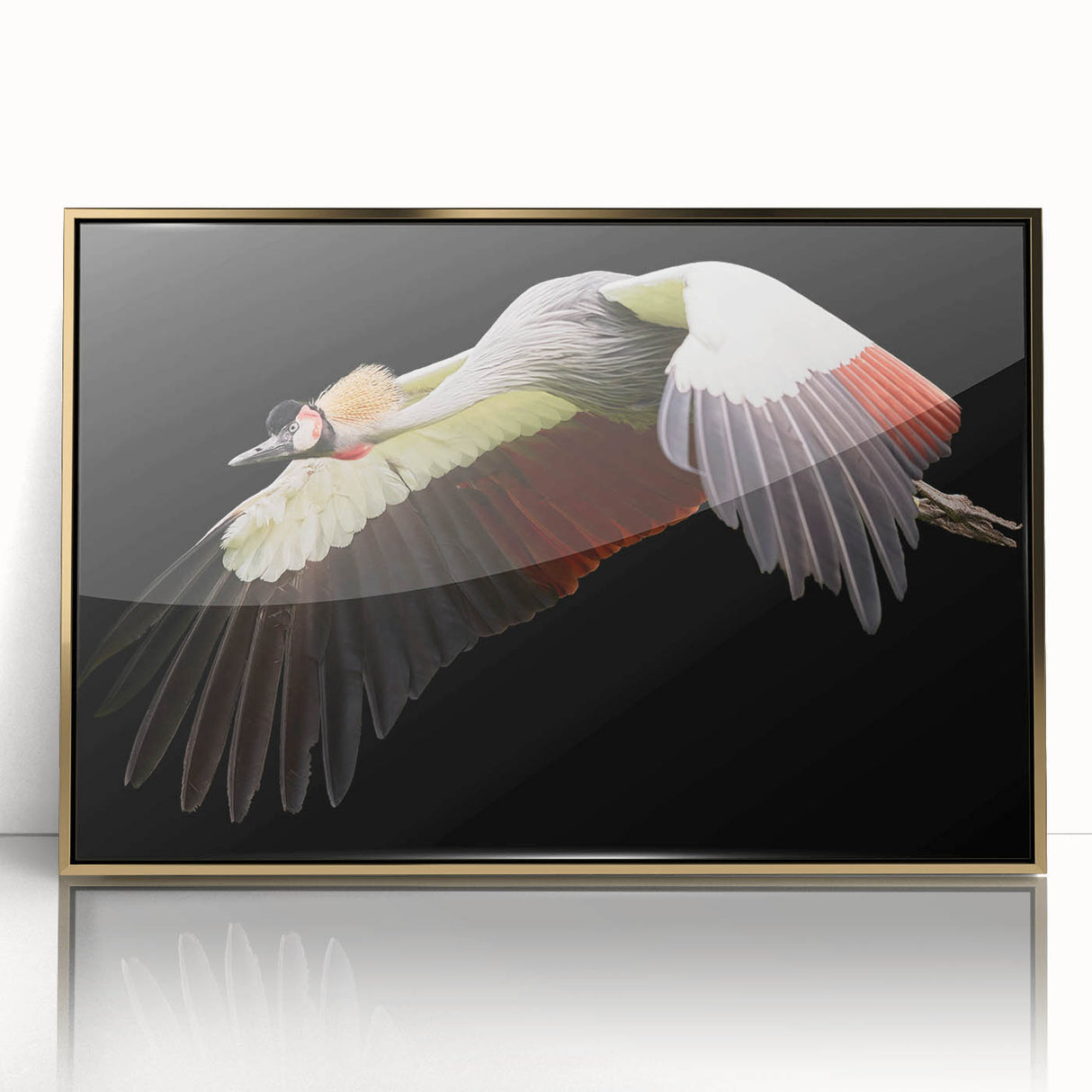 Framed acrylic wall art showcasing an elegant crane design with gold accents, perfect for modern home decor. Ideal for adding a touch of sophistication to any room.