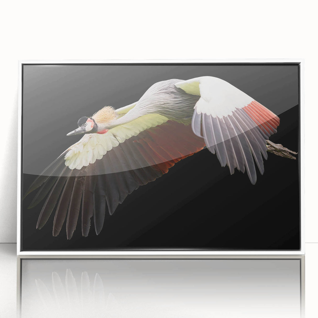 Framed wall art featuring an elegant crane design in a modern acrylic finish, displaying a white frame and captivating details, perfect for home decor.