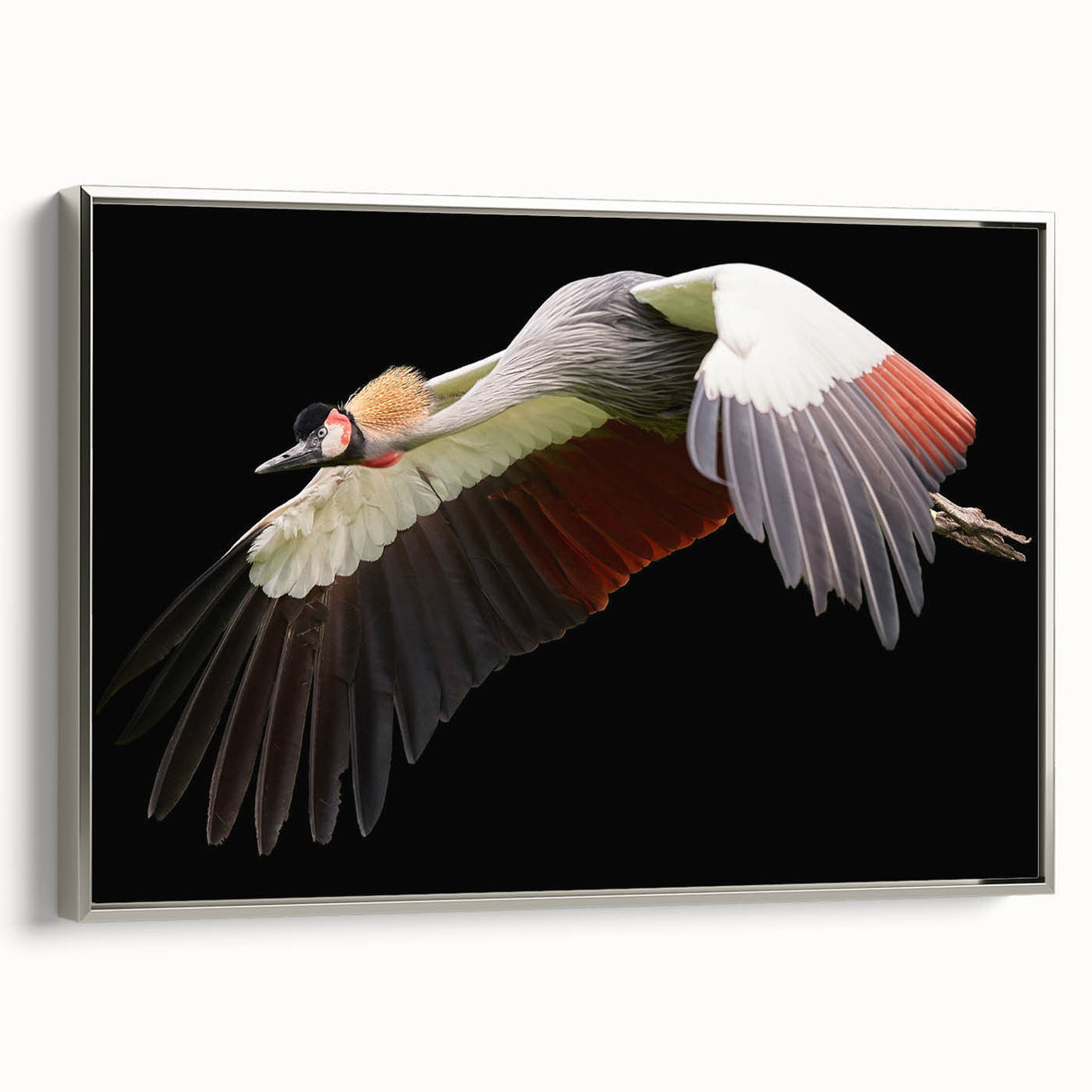 Framed wall art featuring a silver side view of an elegant crane design, showcasing intricate details and a contemporary aesthetic, perfect for modern home decor.