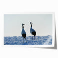 Elegant rolled print showcasing a crane design in vibrant colors, part of a 24-piece wall art collection, perfect for adding a touch of nature-inspired decor to any space.